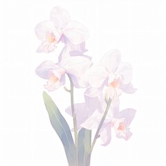 Fototapeta na wymiar An elegant orchid its exotic allure and grace set against white