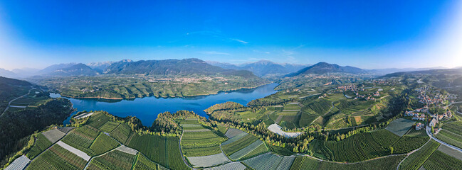 Apple Orchards growing around the Lago di Santa Giustina at the Castello di Cles in the Province of Trento, Italy - obrazy, fototapety, plakaty