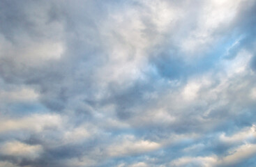 Frog eye view of cumulus cloud texture