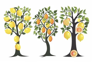 Fotobehang Vector illustrations of lemon and orange trees, pared down to essential shapes and colors, symbolizing Mediterranean orchards © chayantorn