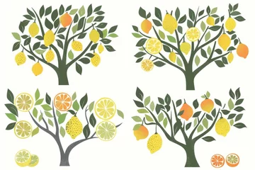 Fotobehang Vector illustrations of lemon and orange trees, pared down to essential shapes and colors, symbolizing Mediterranean orchards © chayantorn
