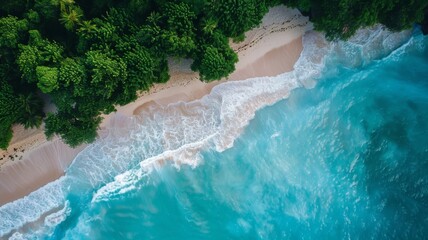 Aerial view of tropical beach and ocean - Stunning top-down view of a beach with waves crashing on the sandy shore surrounded by lush greenery