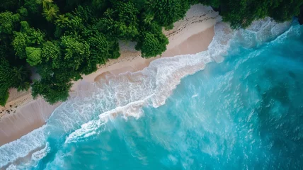 Foto op Canvas Aerial view of tropical beach and ocean - Stunning top-down view of a beach with waves crashing on the sandy shore surrounded by lush greenery © Tida
