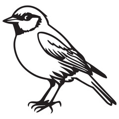 birds black and white vector illustration silhouette