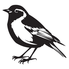 birds black and white vector illustration silhouette