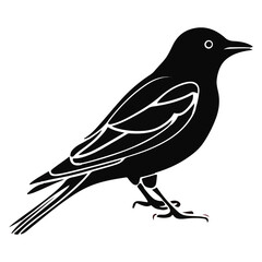 birds black and white vector illustration silhouette