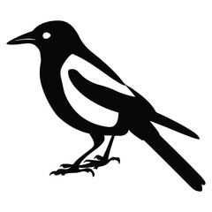 birds black and white vector illustration silhouette