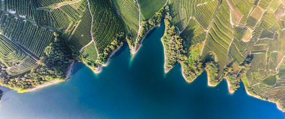 Apple Orchards growing around the Lago di Santa Giustina at the Castello di Cles in the Province of Trento, Italy - obrazy, fototapety, plakaty
