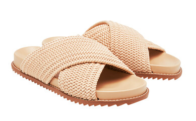 sandal shoe on PNG