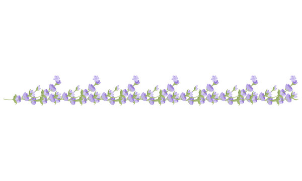 Decorative border of lavender flowers for your design. Vector illustration isolated on white background.