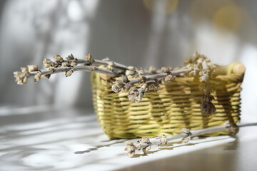 Weaving basket with dried flowers on neutral background casting shadows . Bathroom or living room....