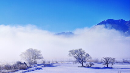 千曲川河畔の霧氷