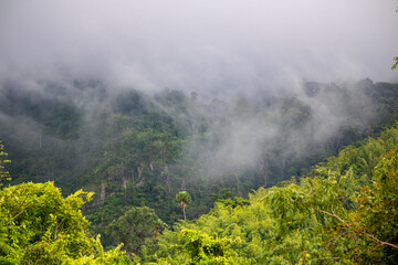 Clouds and mist float on the highest mountain.