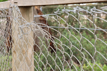 broken wire link fence