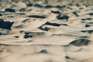 Naklejka premium Sand on the beach, Mexico, Caribbean Sea