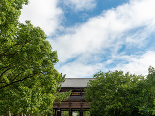 新緑の木々と東大寺南大門