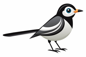 wagtail bird silhouette vector illustration