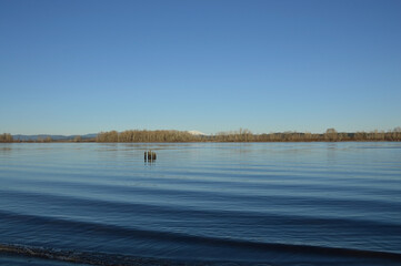 Winter Shoreline: Sauvie Island Beach