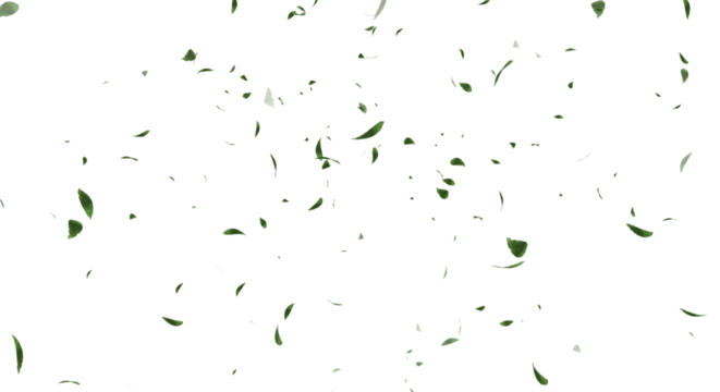 風に舞い散る森林の新緑の木の葉のベクター素材　春・観光・アウトドア・自然　