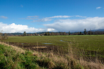 Oregon Agrarian Serenity: Farmland Vistas