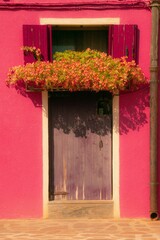 Door of Burano, Venezia,Door with red flowers