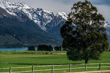 Pastoral Beauty and Peaks