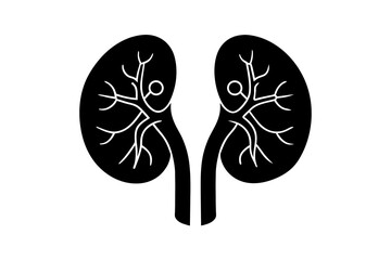 kidney silhouette vector illustration