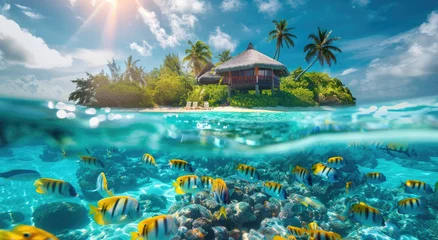 Gordijnen Beautiful tropical island with clear blue water and fish swimming underwater. © Kien