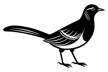whiskers bird silhouette vector illustration