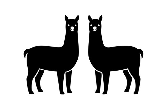 alpaca silhouette vector illustration