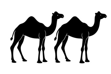 camel silhouette vector illustration