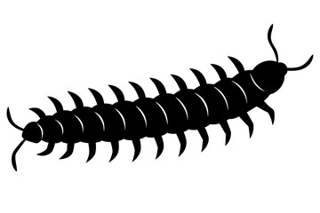 centipede silhouette vector illustration