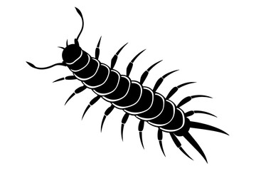 centipede silhouette vector illustration