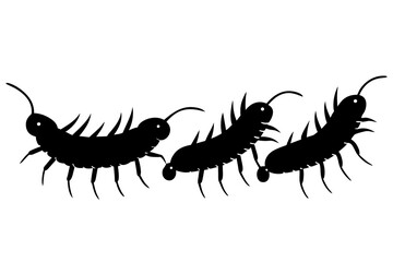 centipede silhouette vector illustration