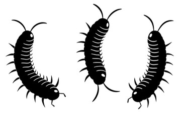 millipede silhouette vector illustration 