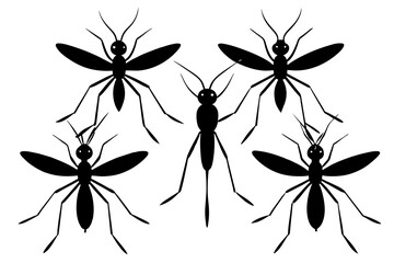 mosquito silhouette vector illustration