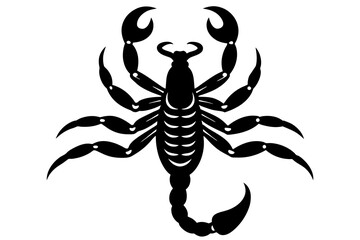 scorpion silhouette vector illustration
