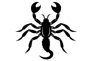 scorpion silhouette vector illustration