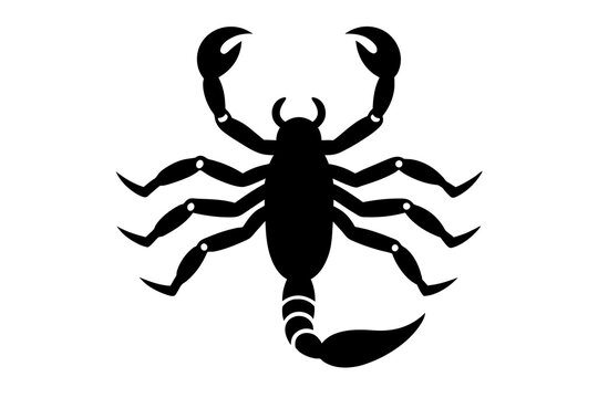 scorpion silhouette vector illustration