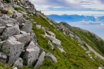 春のハイキング