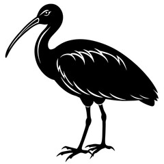 black crowned Crane vector illustration