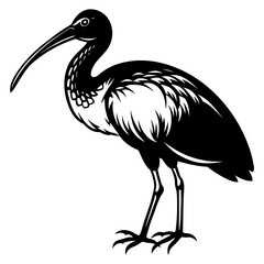 Naklejka premium black crowned Crane vector illustration