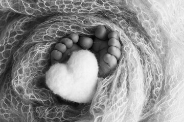 The tiny foot of a newborn baby. Soft feet of a new born in a wool blanket. Close up of toes, heels and feet of a newborn. Knitted heart in the legs of a baby. Black and white Macro photography. 