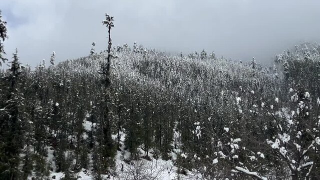 Snow on roads, Snowboarding, and Majestic View in Kashmir 
India