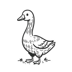 Classic Duck Line Art Black and White Sketch

