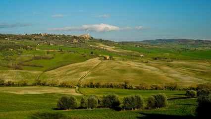  Panorama collinare della Val d'Orcia lungo il percorso ciclistico dell'Eroica. Provincia di Siena. Toscana , Italia - obrazy, fototapety, plakaty