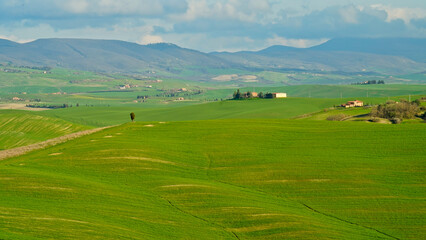  Panorama collinare della Val d'Orcia lungo il percorso ciclistico dell'Eroica. Provincia di Siena....