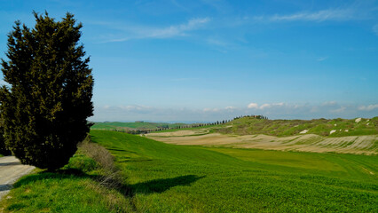  Panorama collinare della Val d'Orcia lungo il percorso ciclistico dell'Eroica. Provincia di Siena....