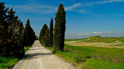  Panorama collinare della Val d'Orcia lungo il percorso ciclistico dell'Eroica. Provincia di Siena....