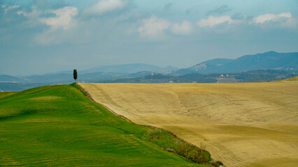  Panorama collinare della Val d'Orcia lungo il percorso ciclistico dell'Eroica. Provincia di Siena....